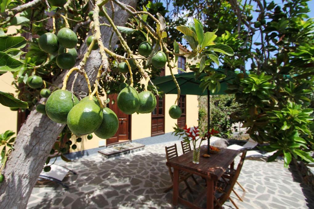 Casa Rural Los Aromos - Wunderschones Landhaus Mit Meerblick Hermigua Luaran gambar
